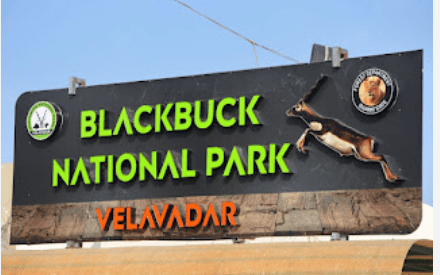 Blackbuck National Park